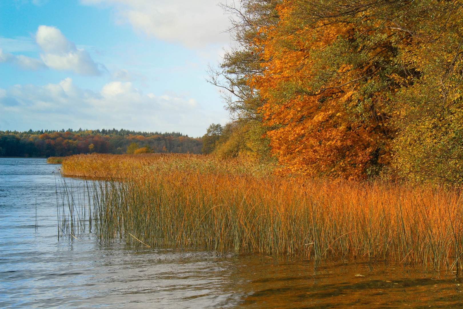 Herbst am Schaalsee