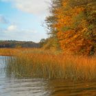 Herbst am Schaalsee