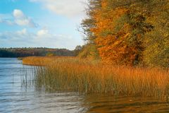 Herbst am Schaalsee