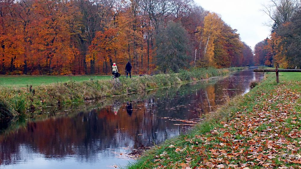 Herbst am Schaalsee-Kanal