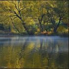 Herbst am Schalkenmehrener Maar