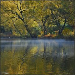 Herbst am Schalkenmehrener Maar