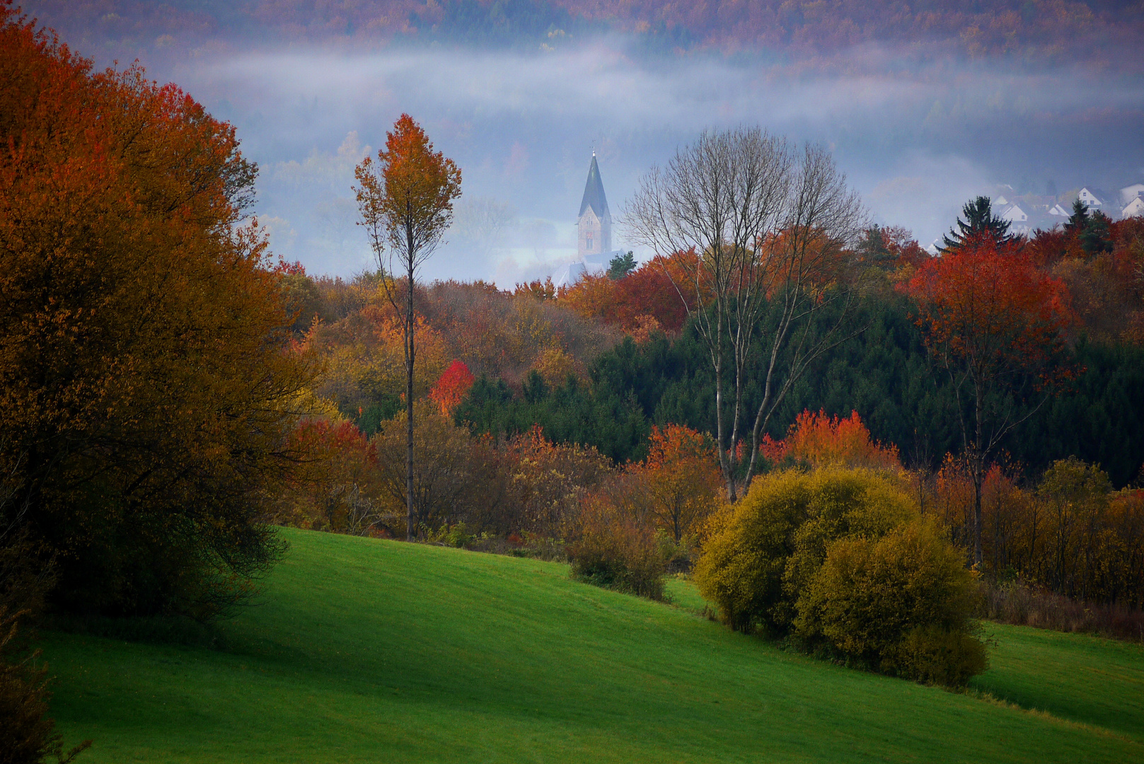 Herbst am Schaumberg (Nordsaarland)