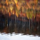 Herbst am Schiedersee