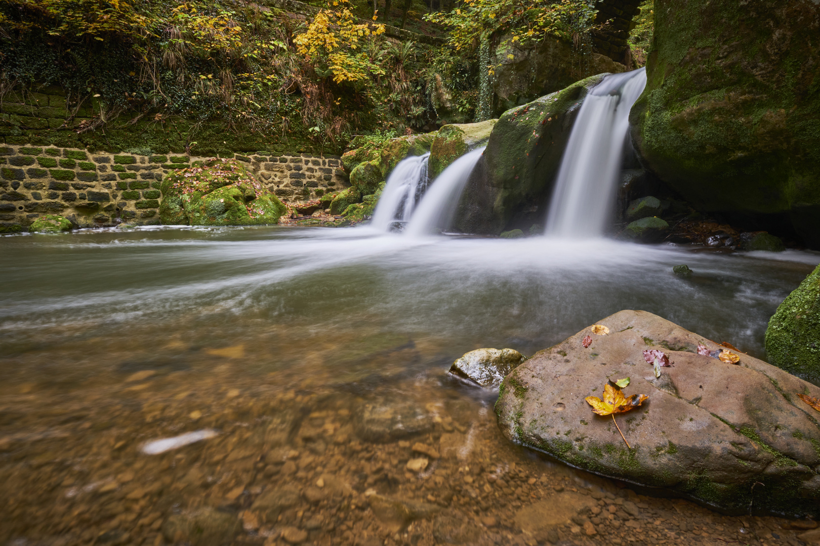 Herbst am Schiessentümpel