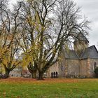 Herbst am Schiffenberg 3