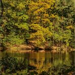 Herbst am Schildkrötenteich