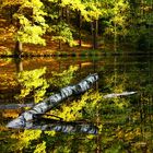 Herbst am Schildkrötenteich