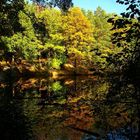 Herbst am Schildkrötenteich