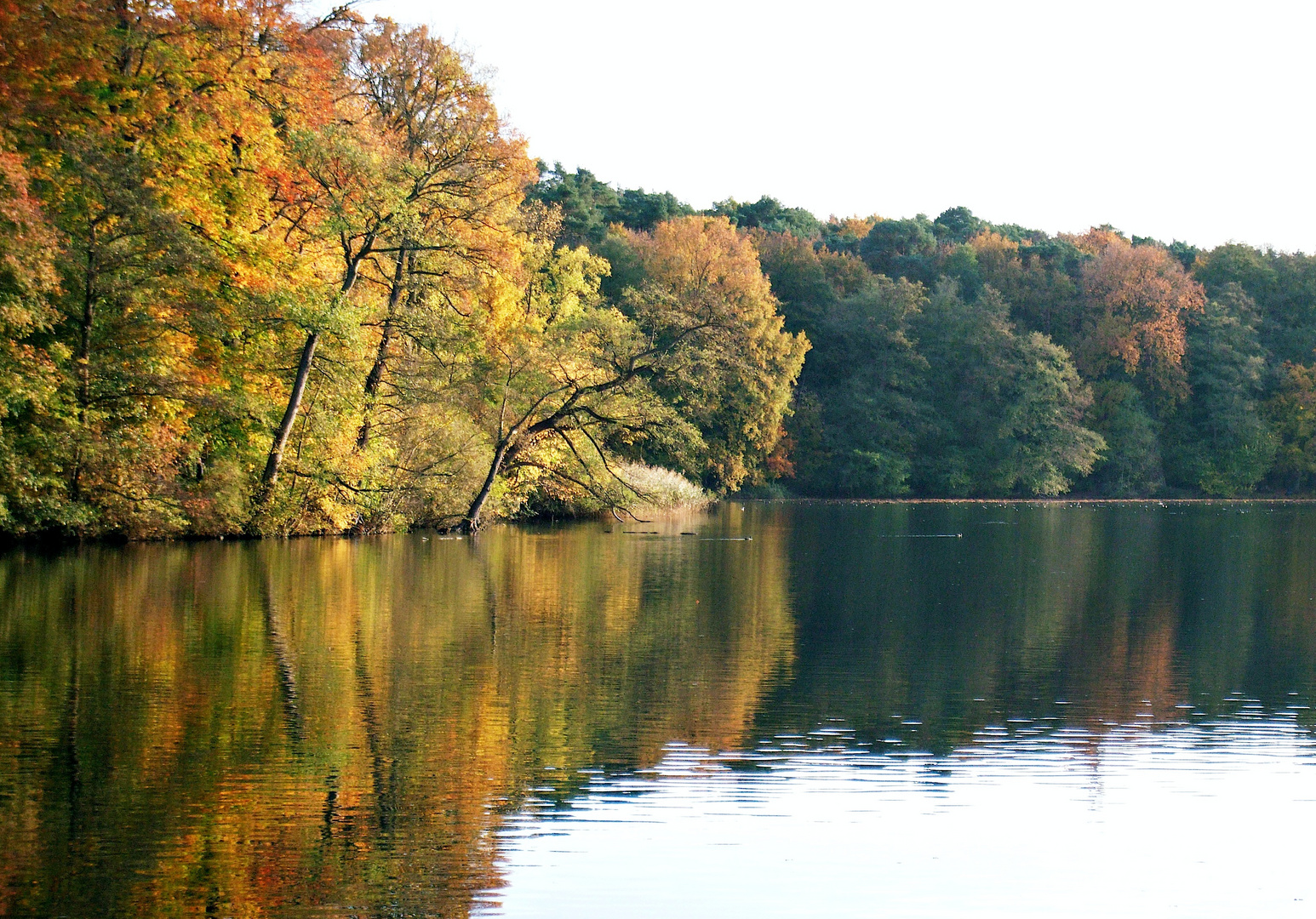 Herbst am Schlachtensee