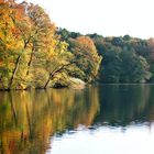 Herbst am Schlachtensee