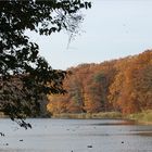 Herbst am Schlachtensee 