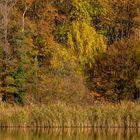 Herbst am Schlachtensee in Berlin