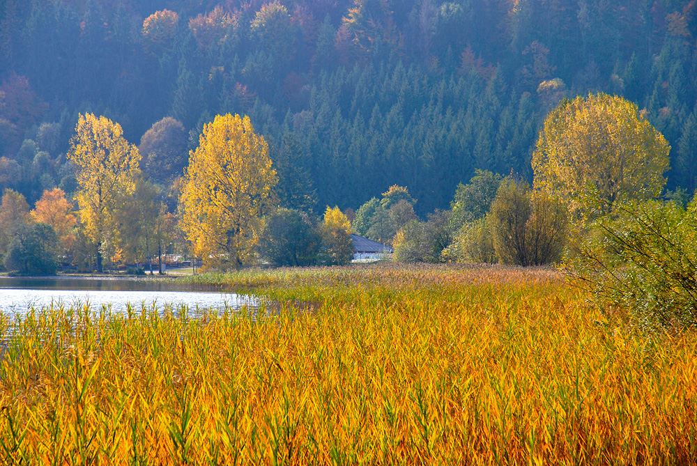 Herbst am Schliersee