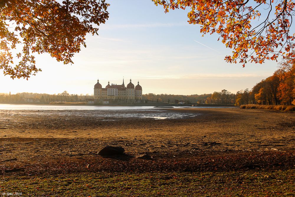 Herbst am Schloss...