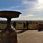 Herbst - am Schloss Albrechtsberg Dresden (1)