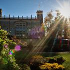 Herbst - am Schloss Albrechtsberg Dresden (8)