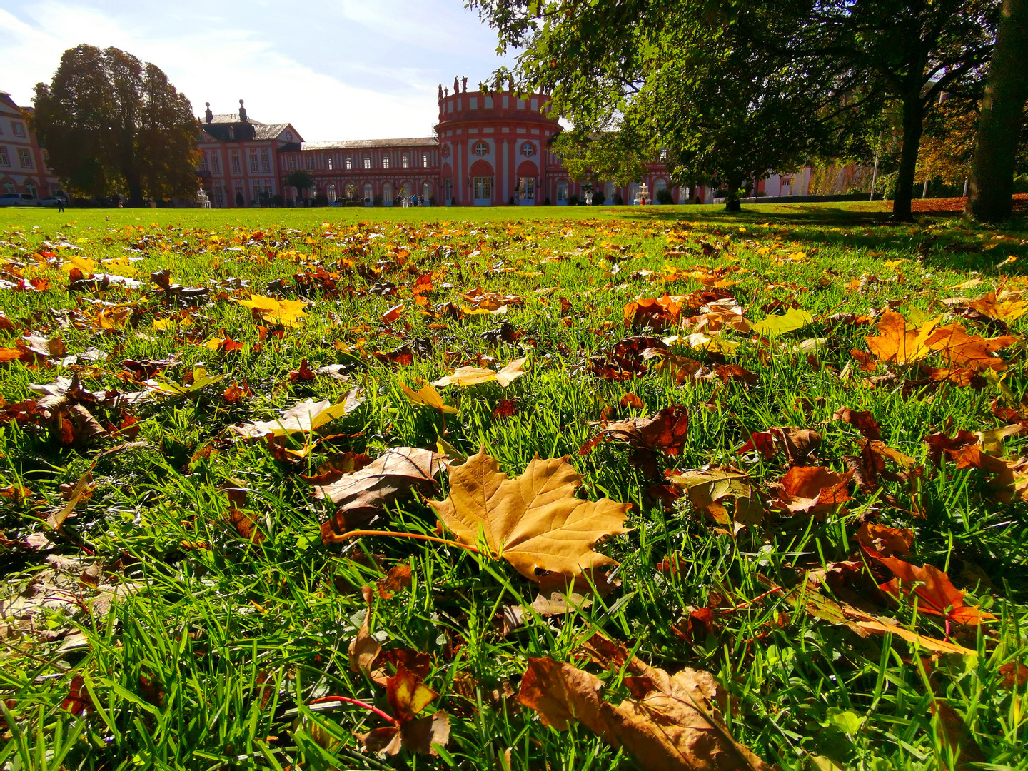 Herbst am Schloß Biebrich 