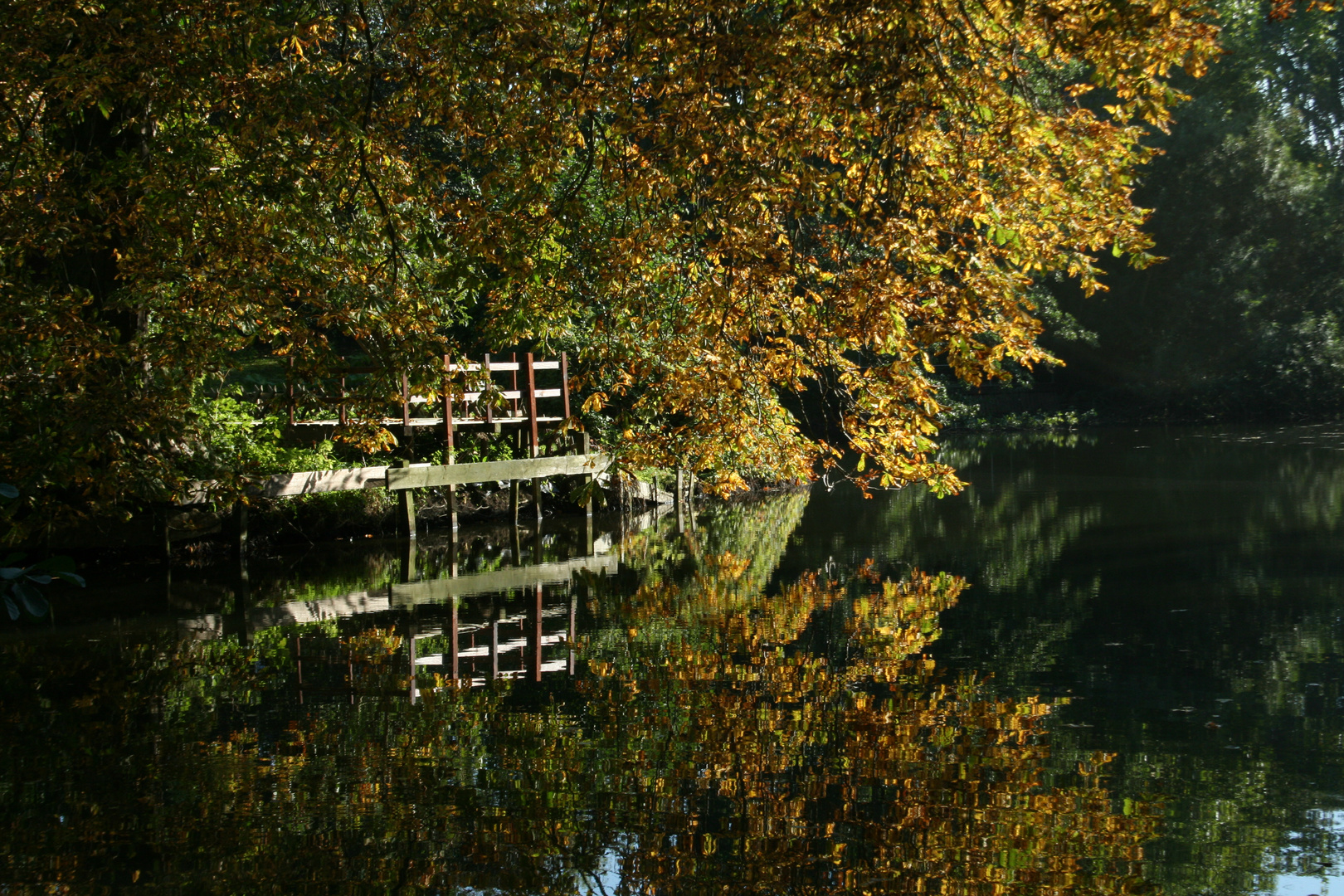 Herbst am Schlossteich