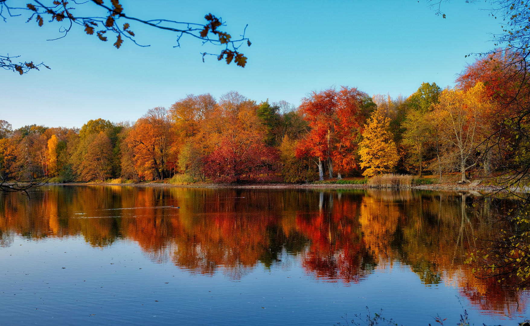 Herbst am Schlossteich