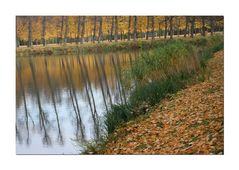 Herbst am Schlossteich