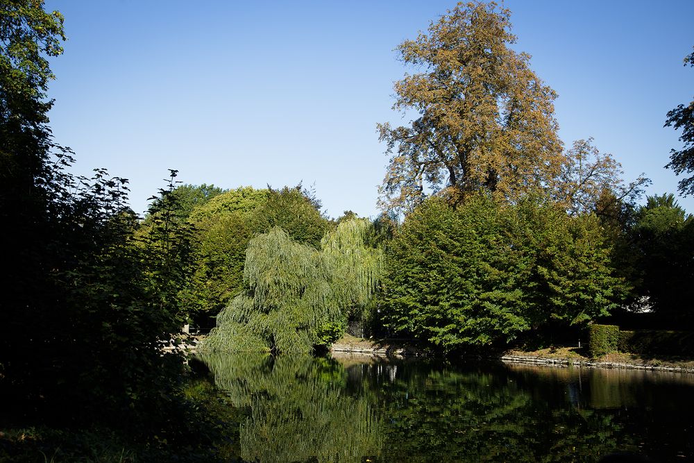 Herbst am Schlossteich