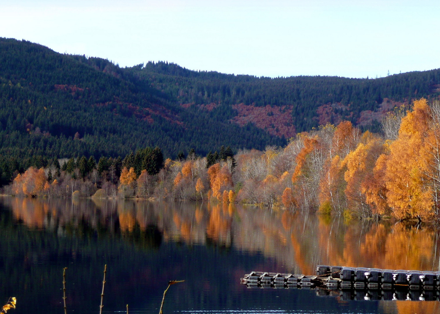 Herbst am Schluchsee