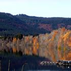 Herbst am Schluchsee