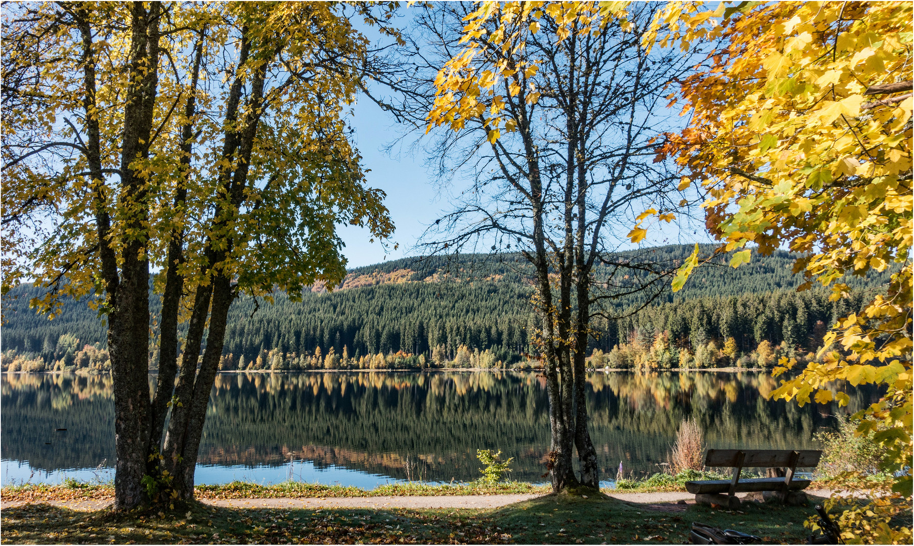 Herbst am Schluchsee