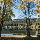 Herbst am Schluchsee