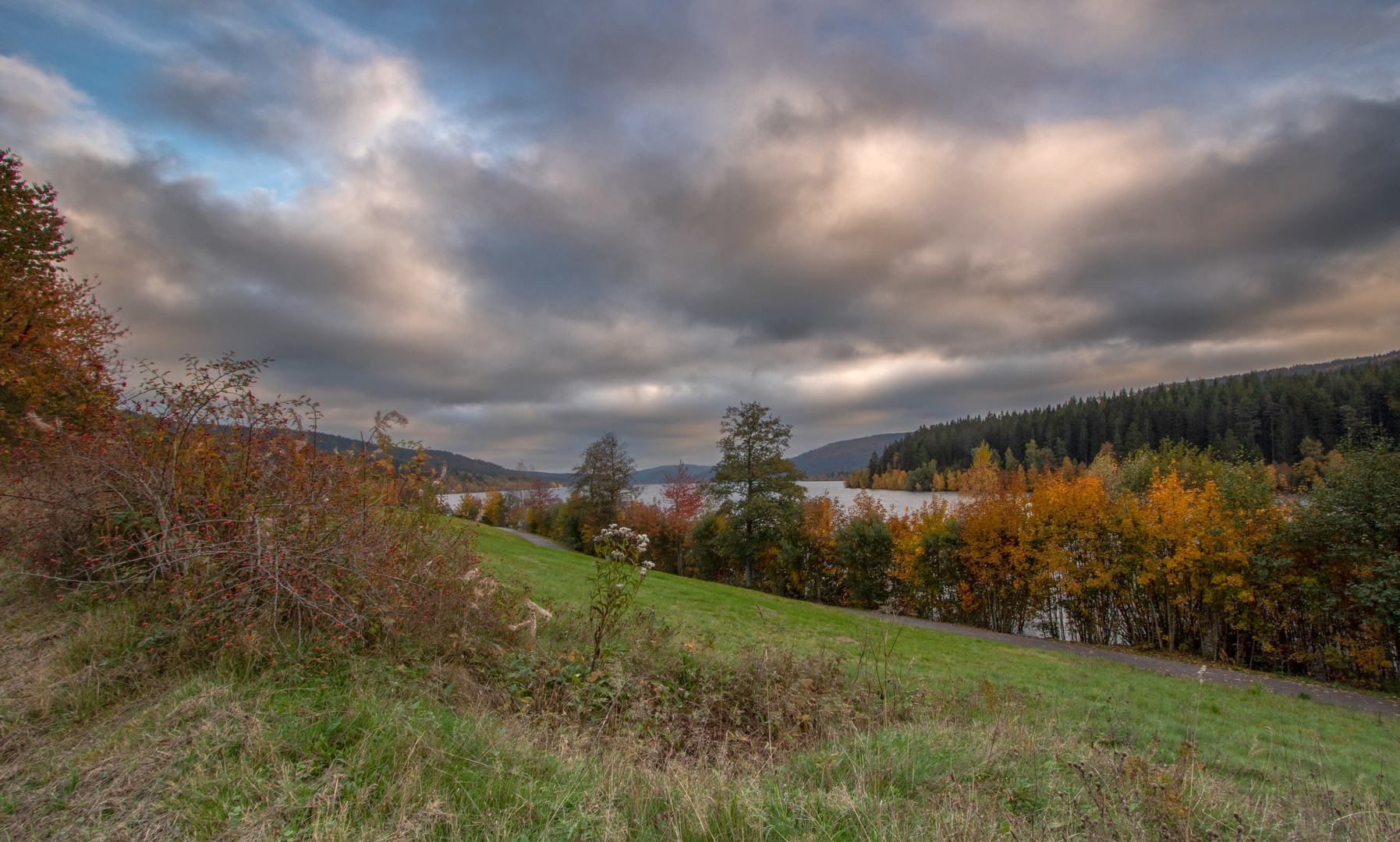 Herbst am Schluchsee