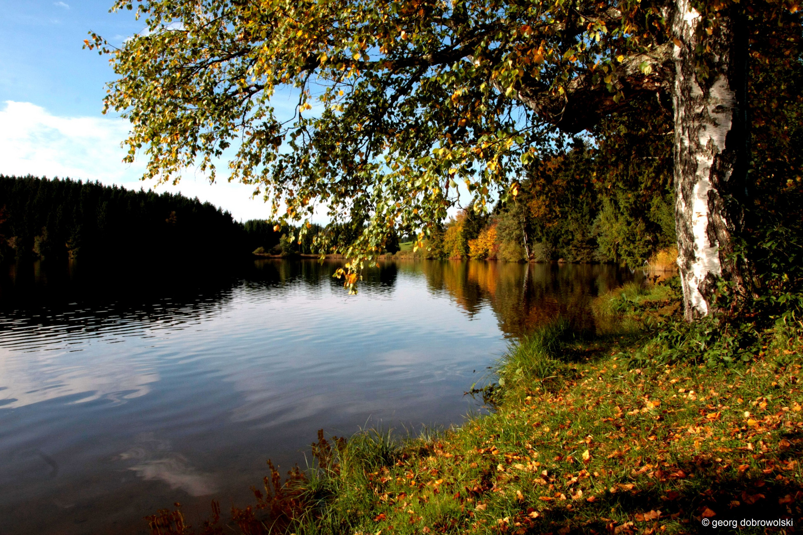 Herbst am Schmutterweiher