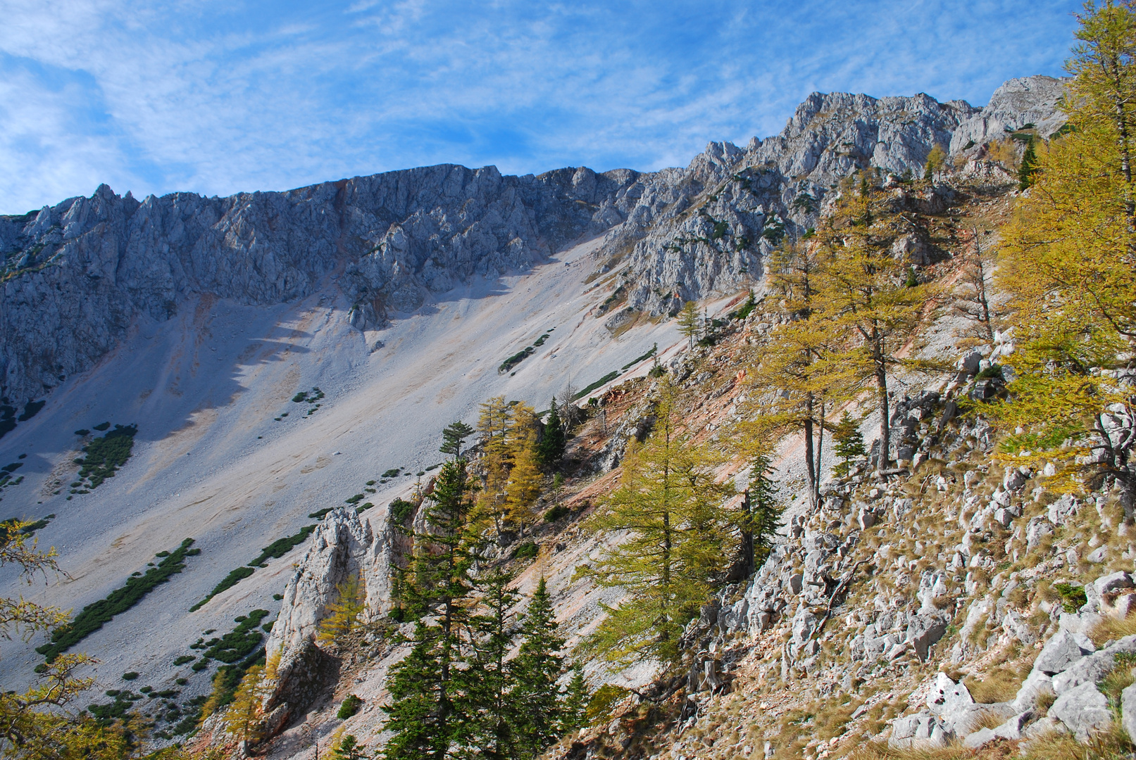 Herbst am Schneeberg (2076m)