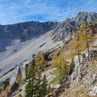 Herbst am Schneeberg (2076m)