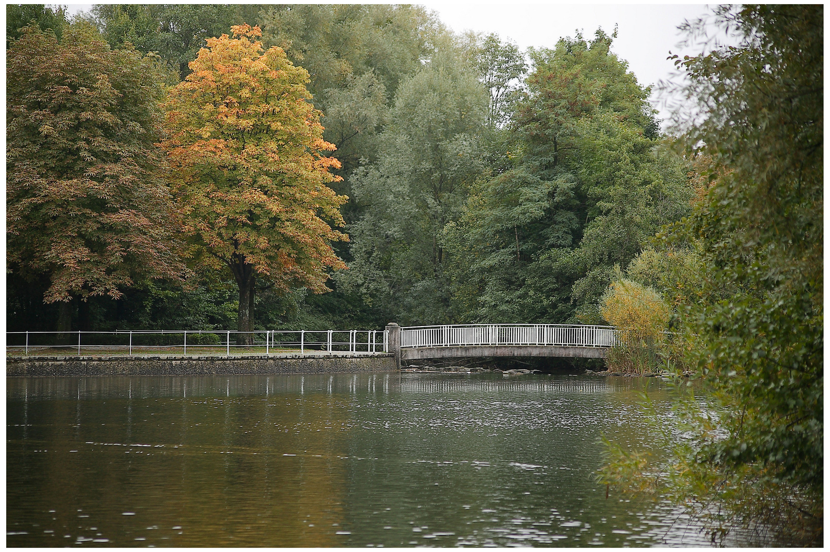 Herbst am Schwabinger See