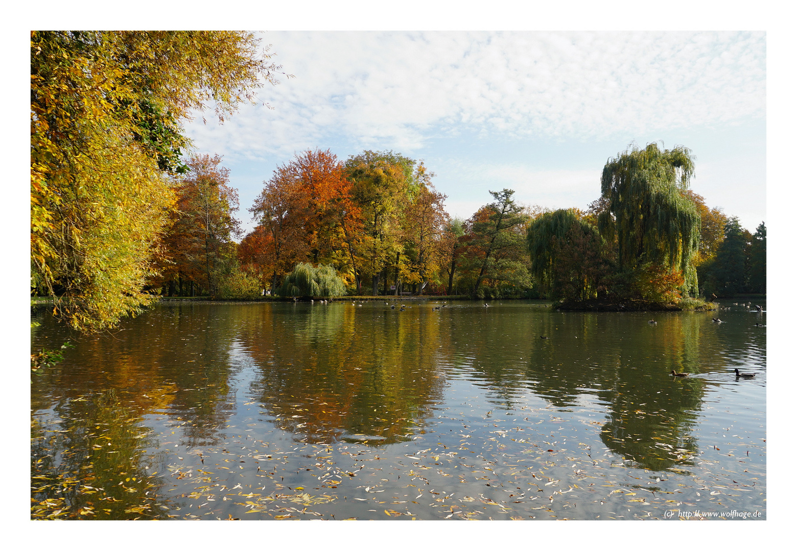 Herbst am Schwänchenteich