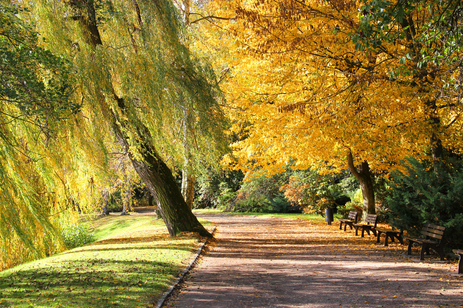 Herbst am Schwanenteich 2