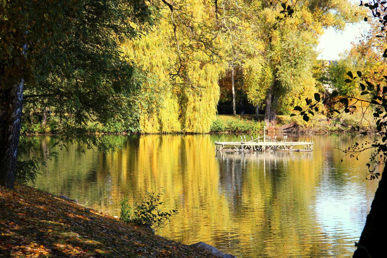 Herbst am Schwanenteich