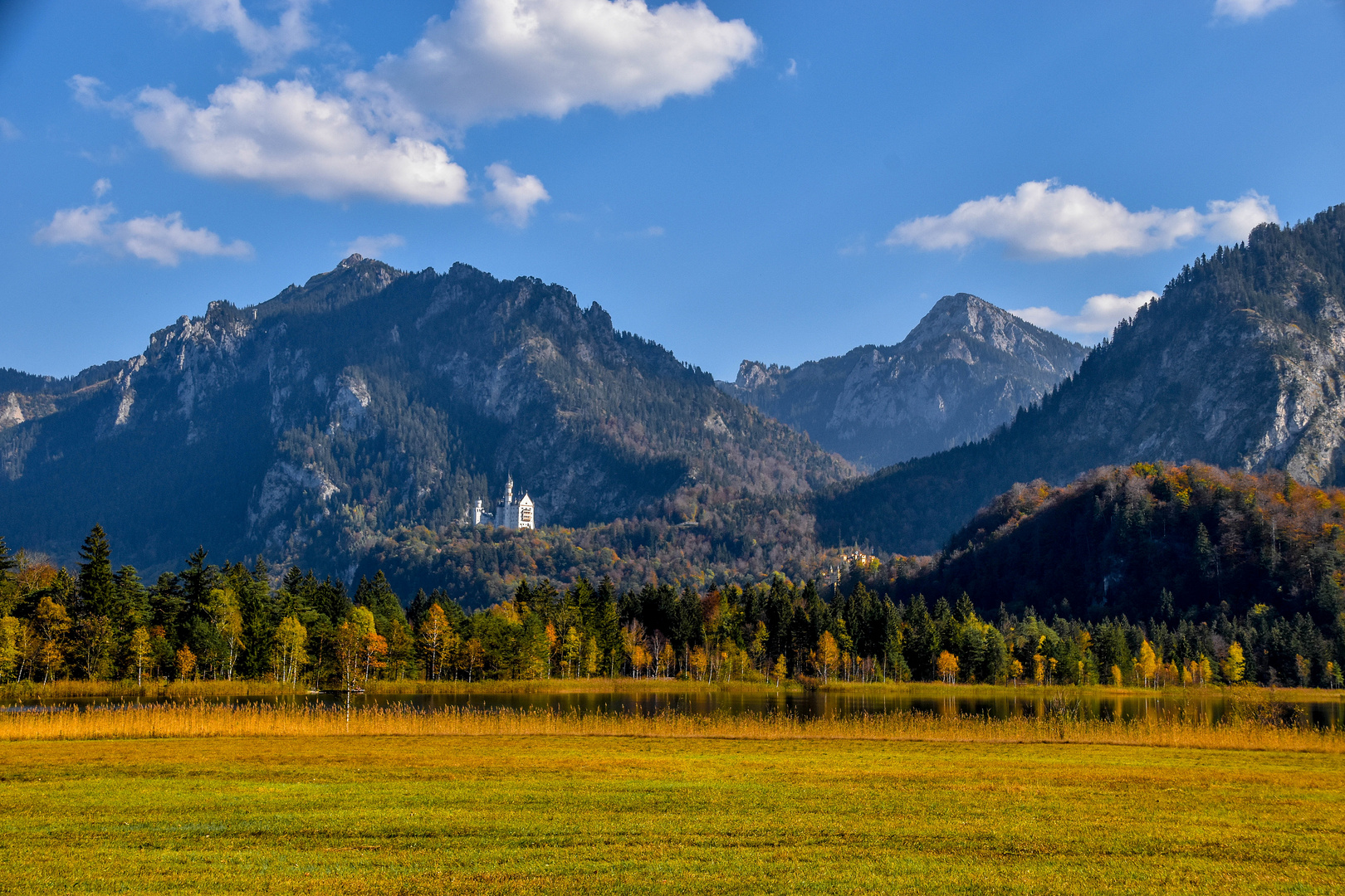 Herbst am Schwansee (1)