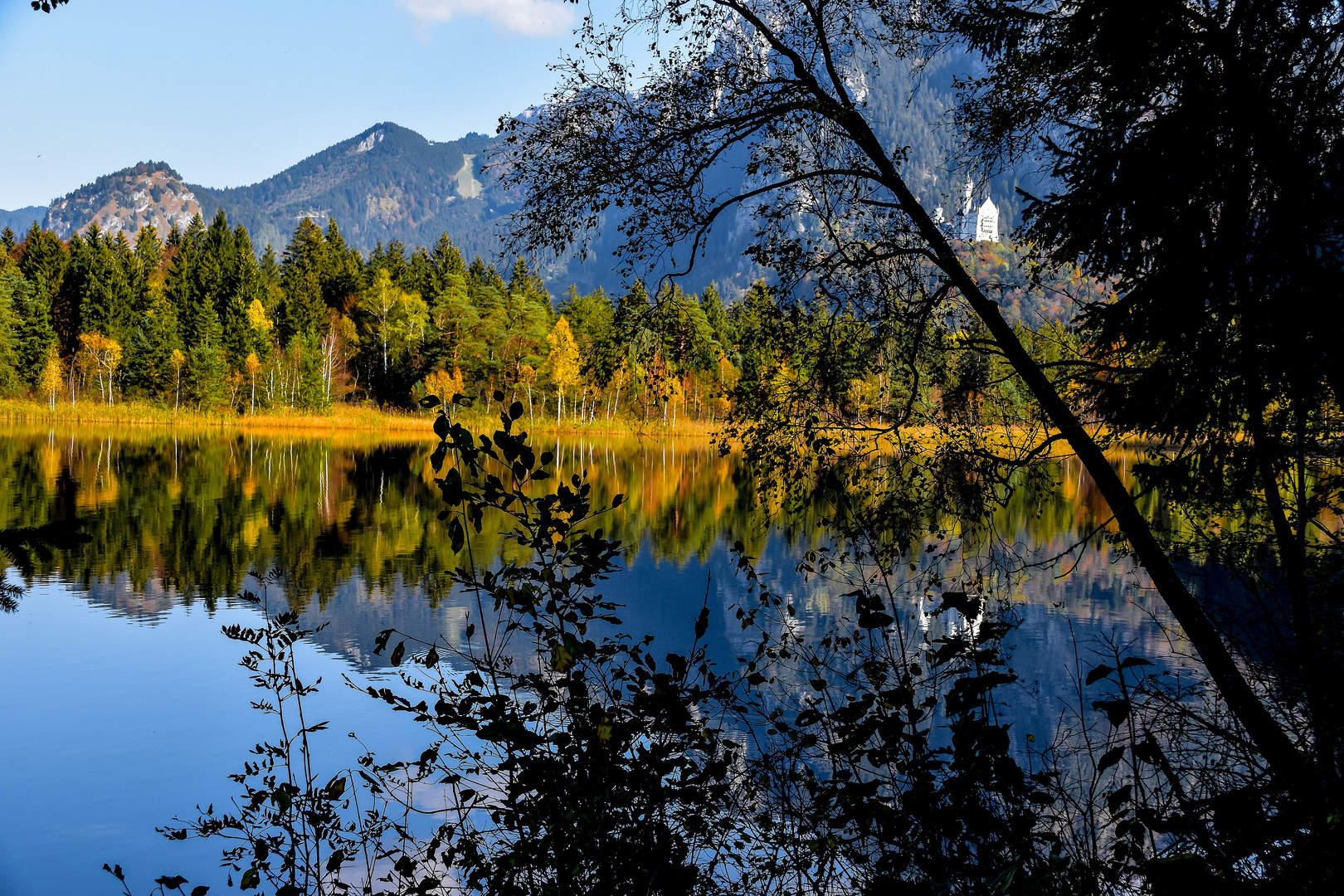 Herbst am Schwansee (2)