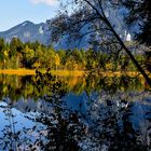 Herbst am Schwansee (2)