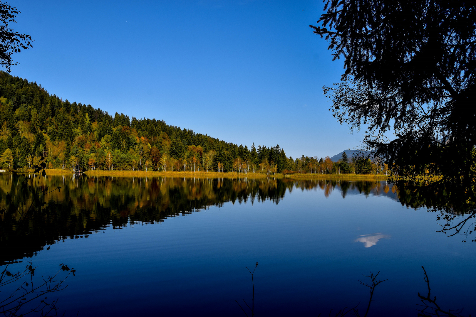 Herbst am Schwansee (3)