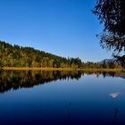 Herbst am Schwansee (3)