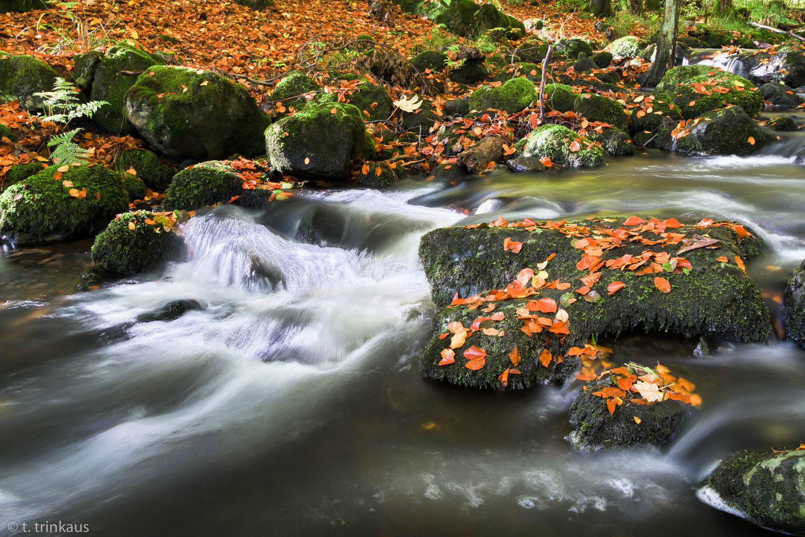 Herbst am Schwarzbach