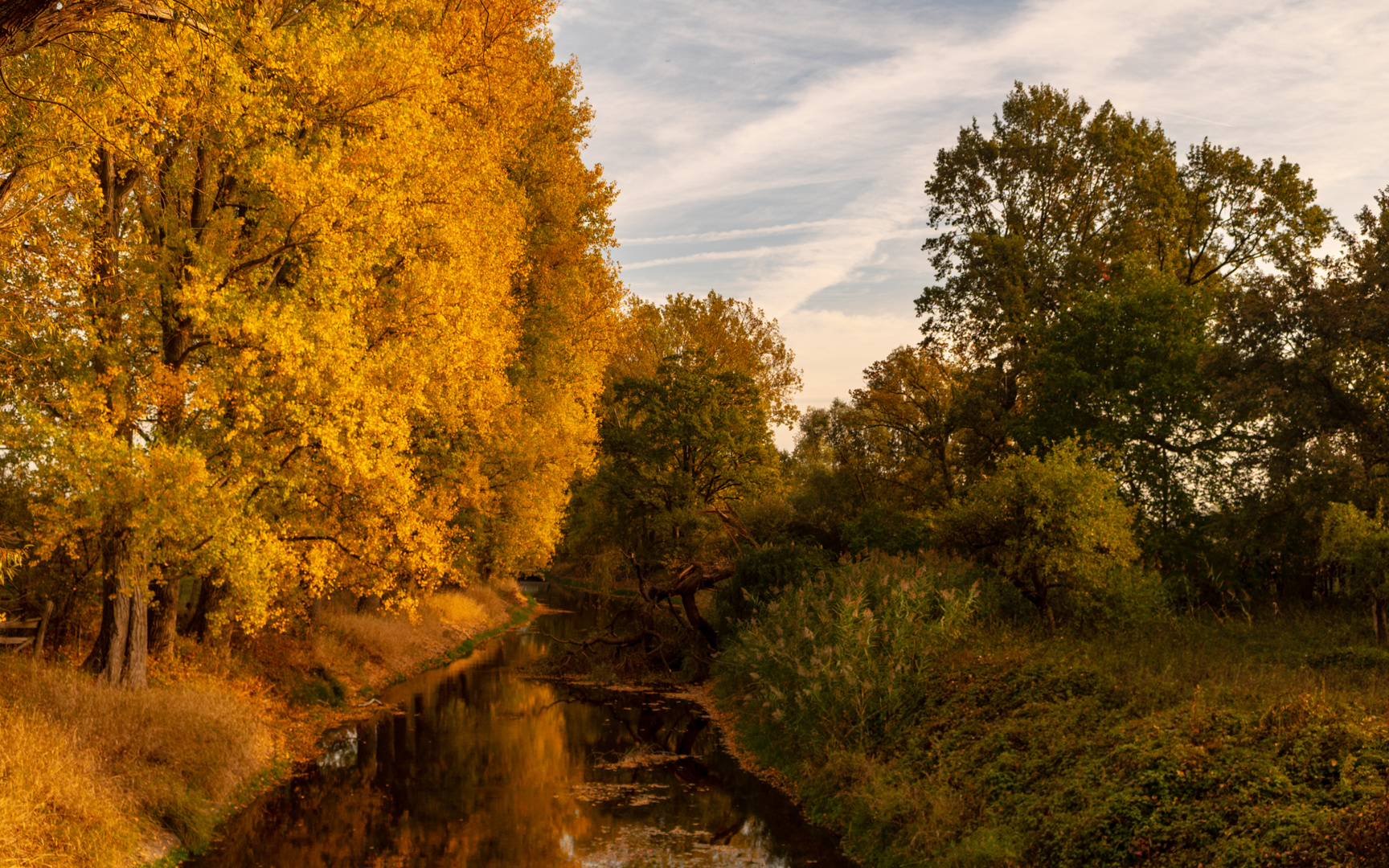 Herbst am Schwarzbach