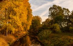 Herbst am Schwarzbach