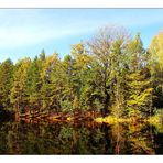 Herbst am Schwarzen Teich