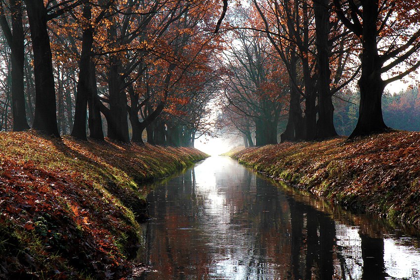 Herbst am Schwarzwasser