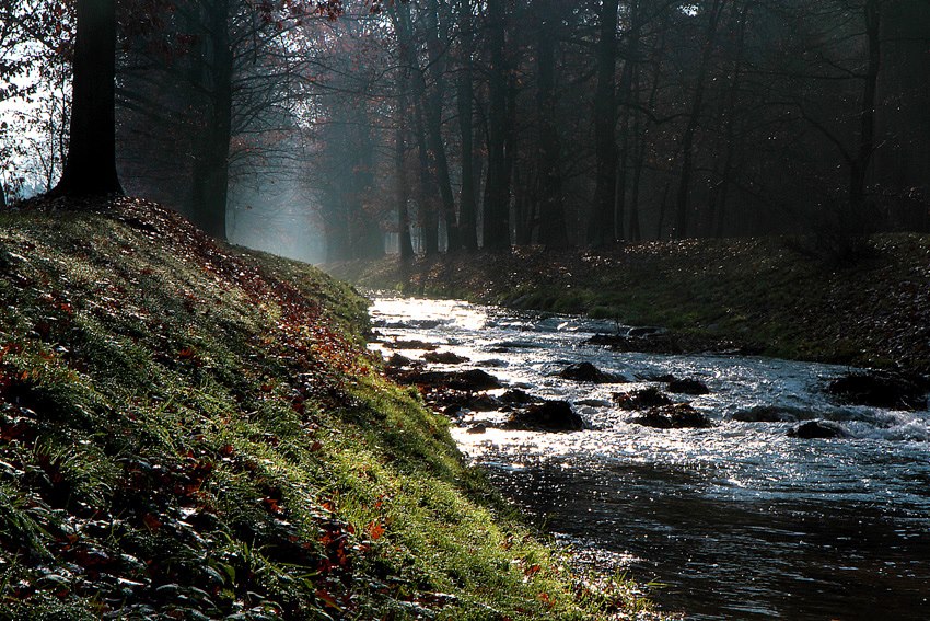 Herbst am Schwarzwasser