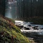 Herbst am Schwarzwasser